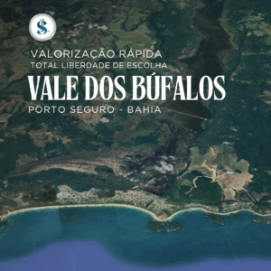 Vale dos Búfalos (Trancoso)