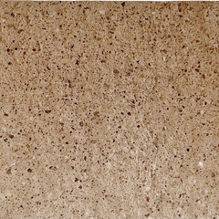 Mattone Largo Beige