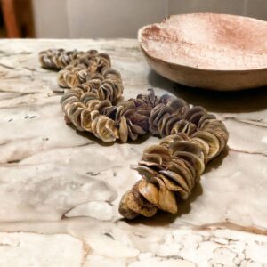 Natural Seeds - 1 metro aberto sem tassel
