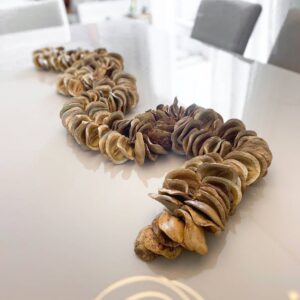 Natural Seeds - 2 metros aberto sem tassel