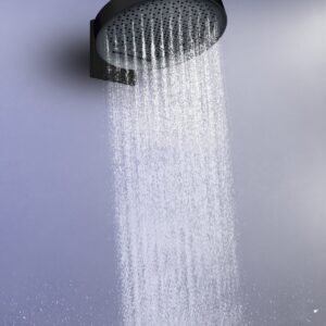 Sense Shower Black (parede)